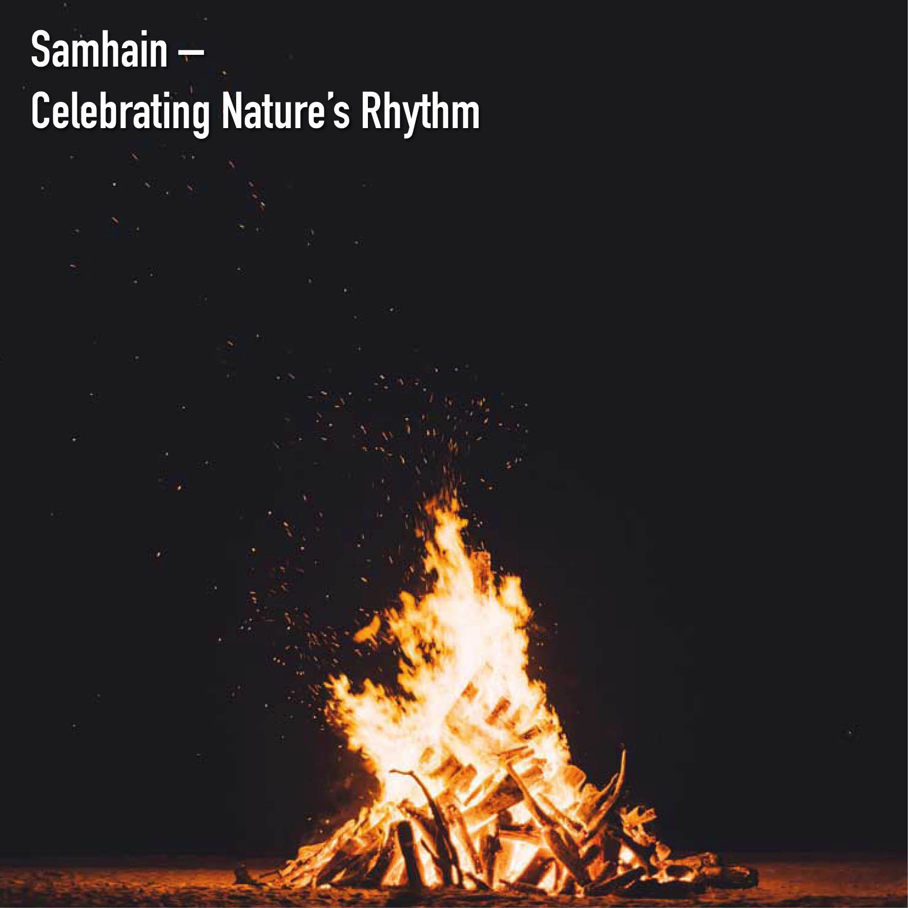 Top Story: Celebrating Nature’s Rhythm – Samhain
