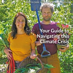 Latest Issue